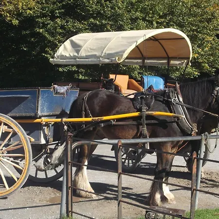 Сasa de vacaciones No 20 Village Killarney