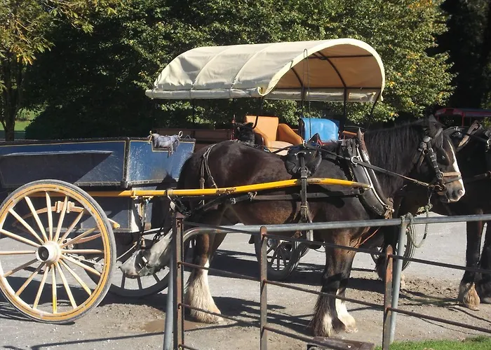 Nyaraló No 20 Village Cill Airne